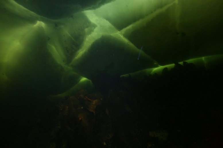 UW_ice